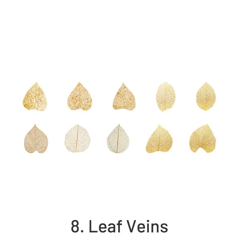 Leaf Veins